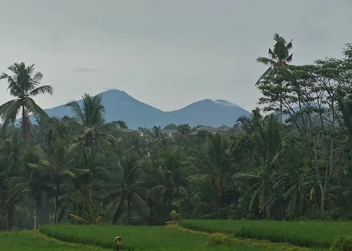 Rumah Subur Wayan Ari